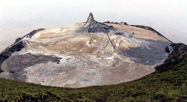Figure (see Caption)